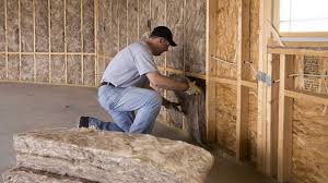 Best Eco-Friendly or Green Insulation Solutions  in Wymore, NE