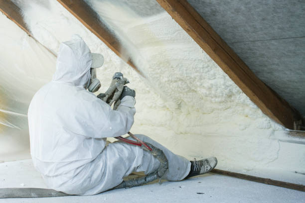 Best Soundproof Insulation  in Wymore, NE